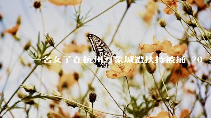 一名女子在杭州万象城遭挟持被捅 20 多刀,隆胸***体救了一命,这反映出哪些公安系统的问题?